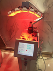 Machine van de antirimpel Photodynamic Therapie voor van het Acnebehandeling/Pigment Verwijdering