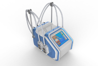 4 handvatten30hz Cryolipolysis EMS Machine voor Lichaamsvermageringsdieet