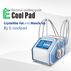 De Schoonheidssalon Euqipment van de Cryolipolysisems Machine CRYO voor Weilght-Verlies met 4 Handvatten