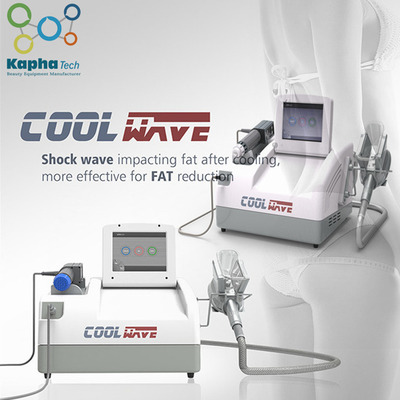 Vette het Vermageringsdieetmachine van Cryolipolysis van de schokgolftherapie Koele voor Lichaamsvorm