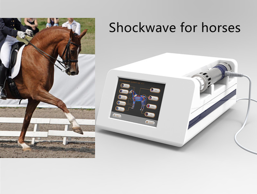 16Hz veterinaire de Therapiemachine van de Laserschokgolf