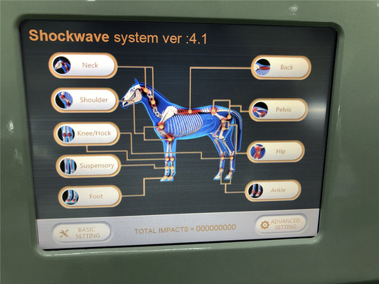 De radiale Machine van de de Schokgolffysiotherapie van Extracorporeal Paarden