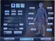 7 Machine van de hoofden de Elektromagnetische Therapie voor de Hulp van de Lichaamspijn