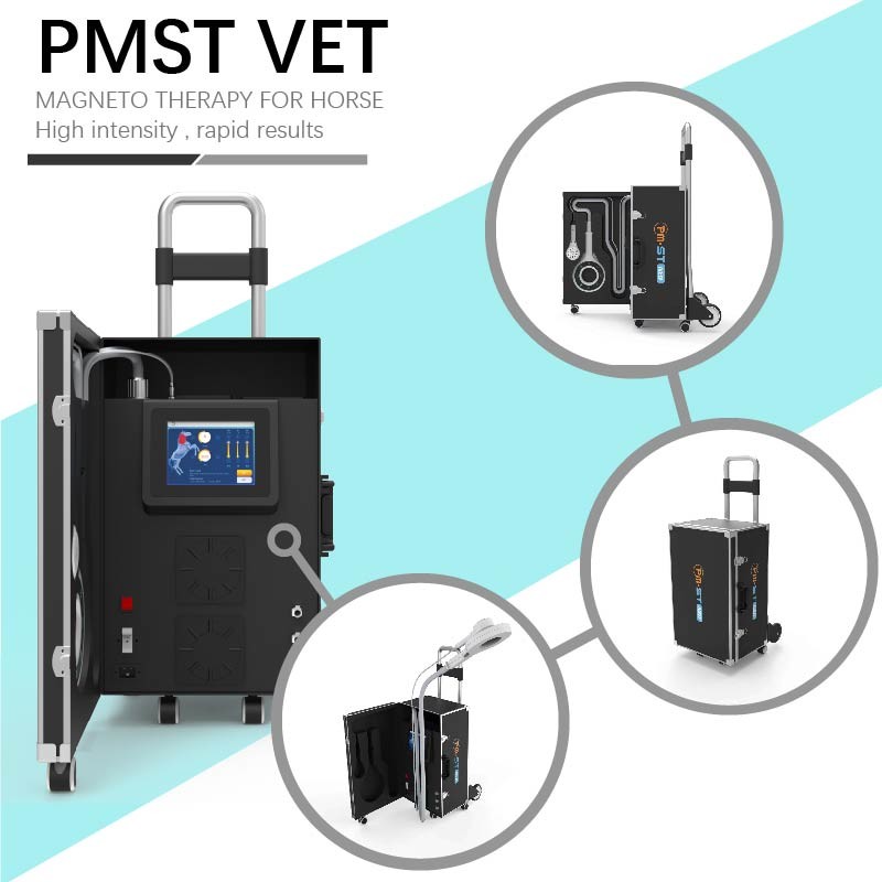 EMTT Shockwave Therapy Machine 4 Tesla Veterinary Device voor stimulatie van paardenspier