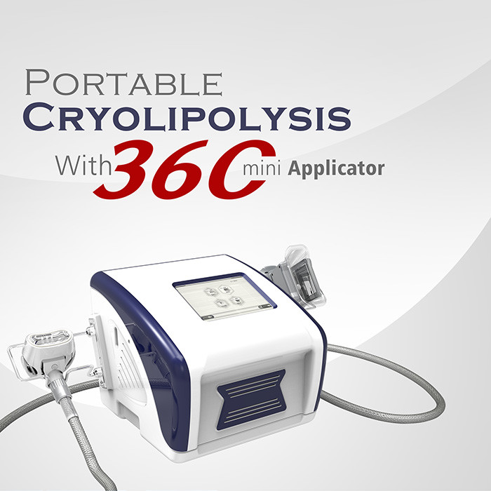Vette het Bevriezen van touch screen Koele Sculting 220V Cryolipolysis Machine