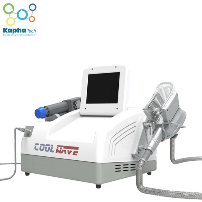 Draagbare Professionele EMS-Machine, 2 in 1 de Therapiemachine van Cryo Gainswave