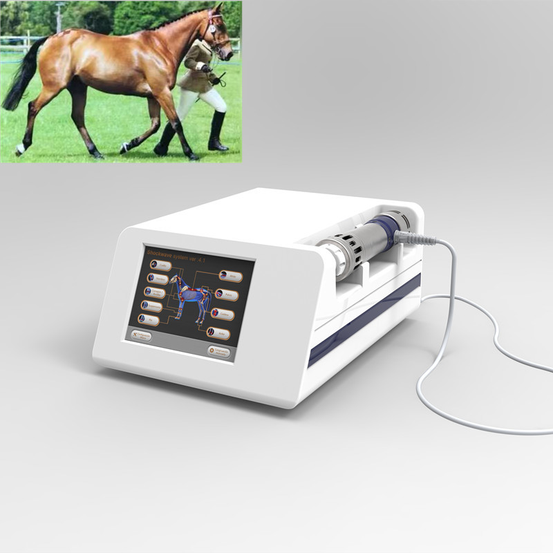 1Hz de paardenMachine van de Drukgolftherapie voor Paarden