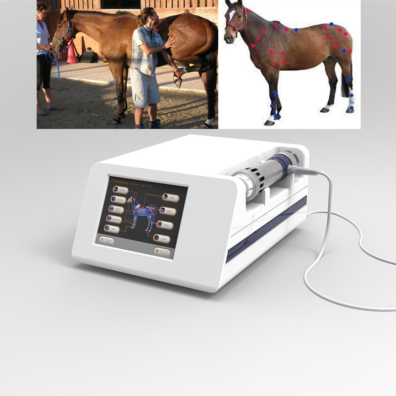 De veterinaire Machine van de Schokgolftherapie voor het Rennen Paard