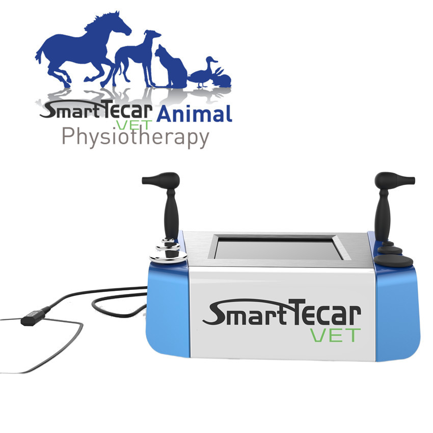 Draagbare Veterinaire de Therapiemachine van Fysiotherapietecar voor van de Hondenkatten van het Huisdierenpaard de Pijnhulp
