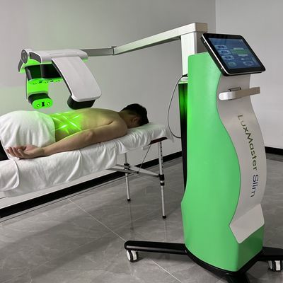 Vet Buring Cold Laser Therapie Machine 10D Diodes 532NM Gewichtsverlies Apparaat